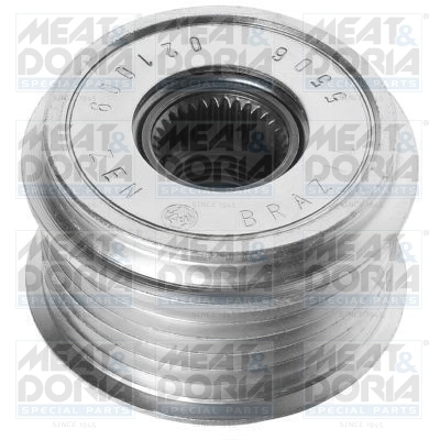 Alternator Freewheel Clutch